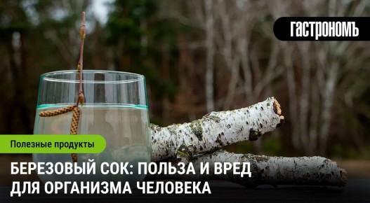 Березовый сок: что стоит знать?