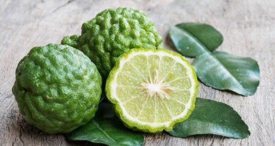 ��������: ��������� ������, ������� ������� ��������