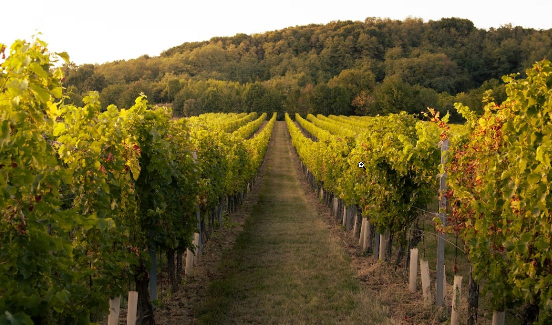 Что такое купаж вина?