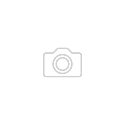 Как создать площадку перед воротами без лишних затрат: два простых средства