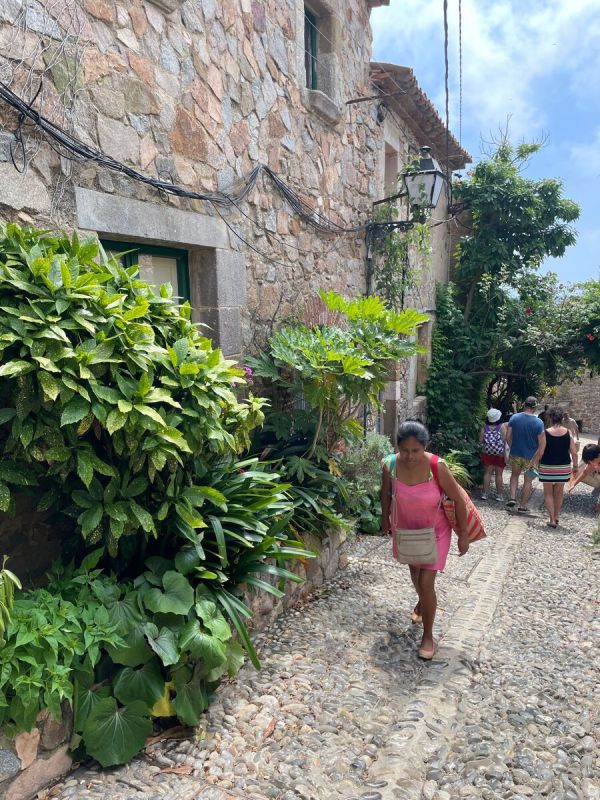 Летние секреты испанских садах: как пережить зной с умом