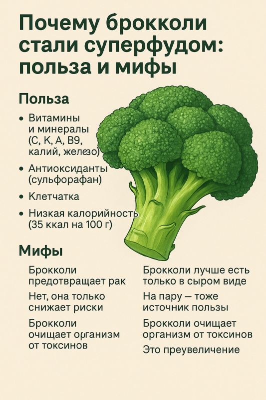 Почему брокколи стал символом здорового питания: мифы и реальность