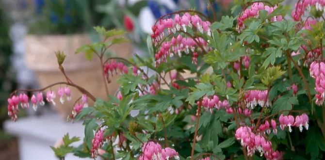 Растения для тенистых уголков: красота и простота ухода