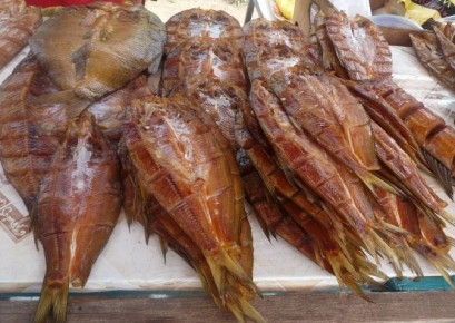 ��� ��������� ������� ����: �������� ���������������� ������