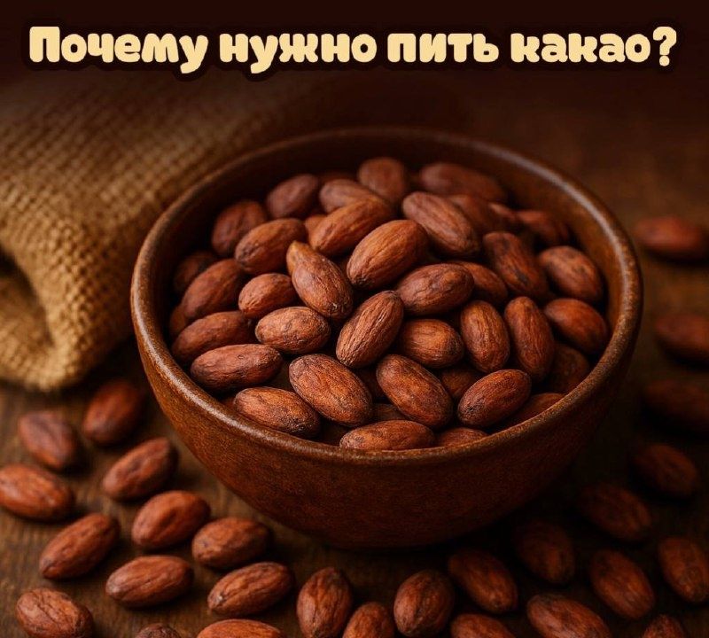 ������ ����� ������������ ����� ������ ����: 5 ����������� ������