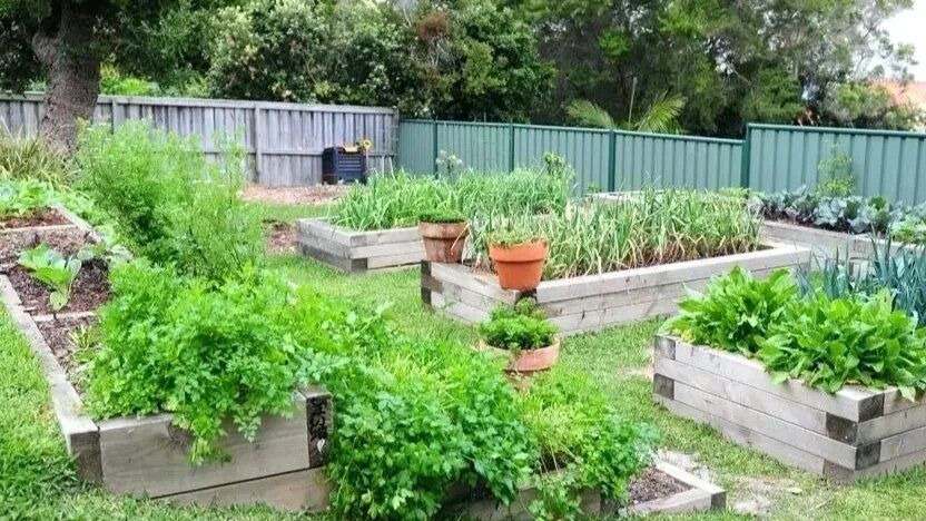 Как превратить заросший участок в цветущий огород: пошаговое преобразование