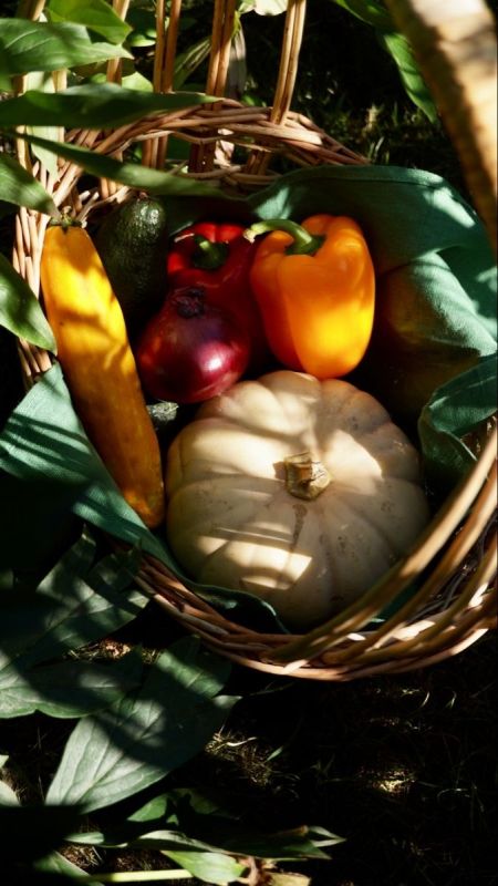 Согласие с сезонами