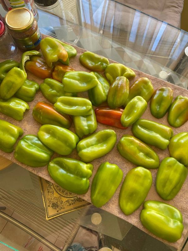 ��������� �� ����: ��� ������� ��������