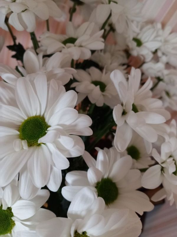 Вкус И Традиции