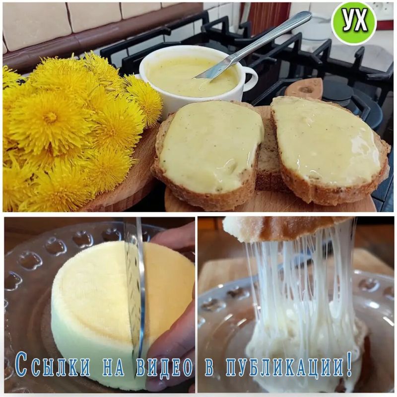 Неповторимый мир сыров