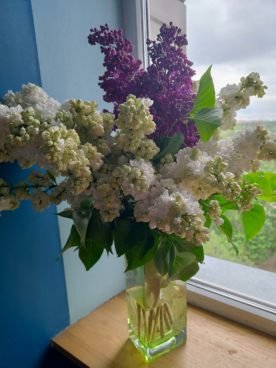 Насыщенные выходные: что приготовить на 24-25 мая