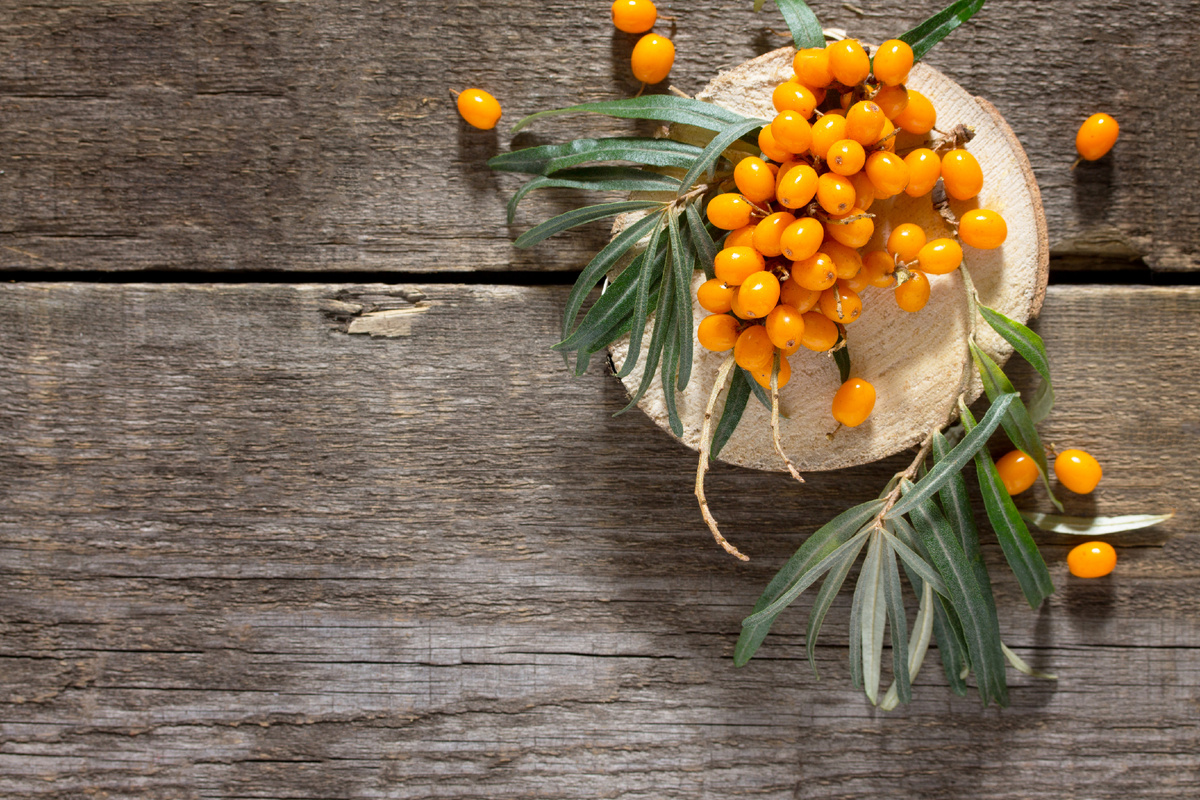 Уникальные рецепты с облепихой: от чая до джема