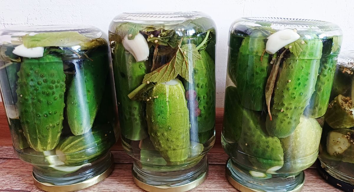 Как сохранить лето: хрустящие огурчики на зиму без стерилизации