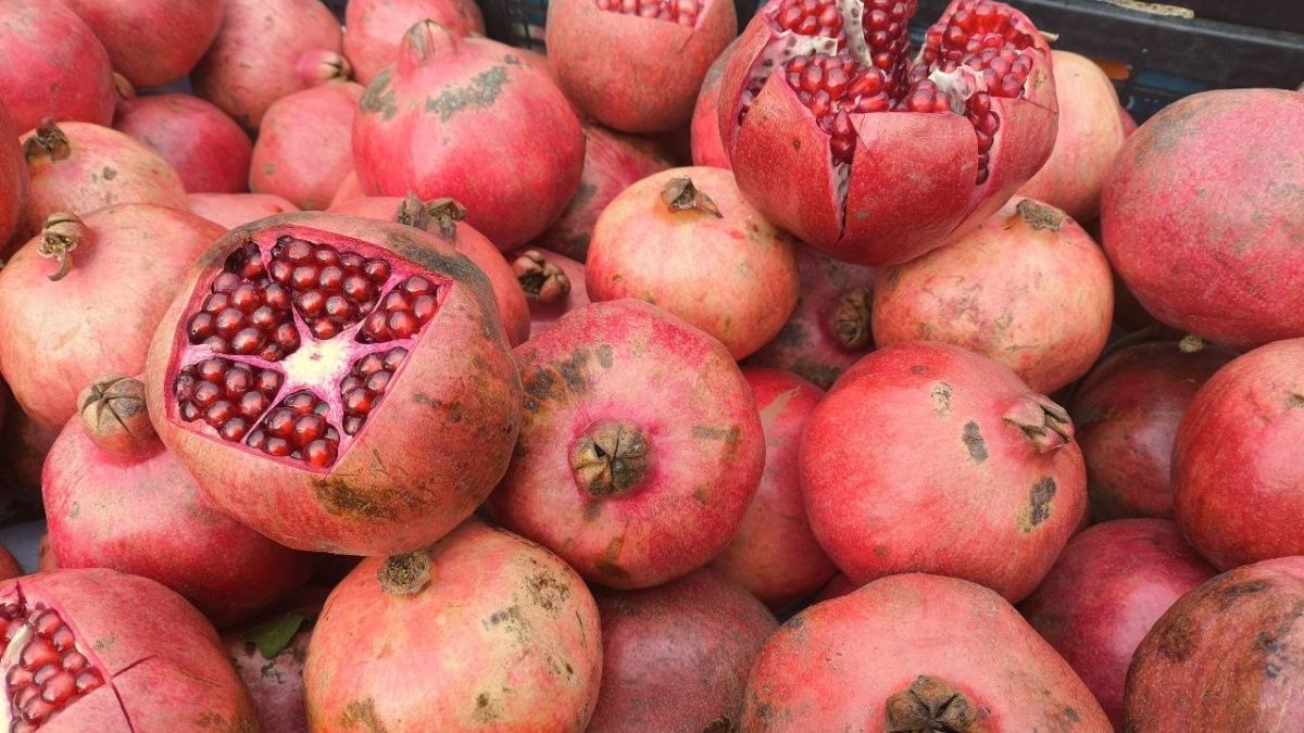 ��� �������� ����� �������: ������� �������� �� ������� �� ����������������