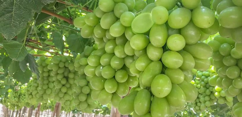 ������ ��������� ������ ����� ��������� ������ ��������