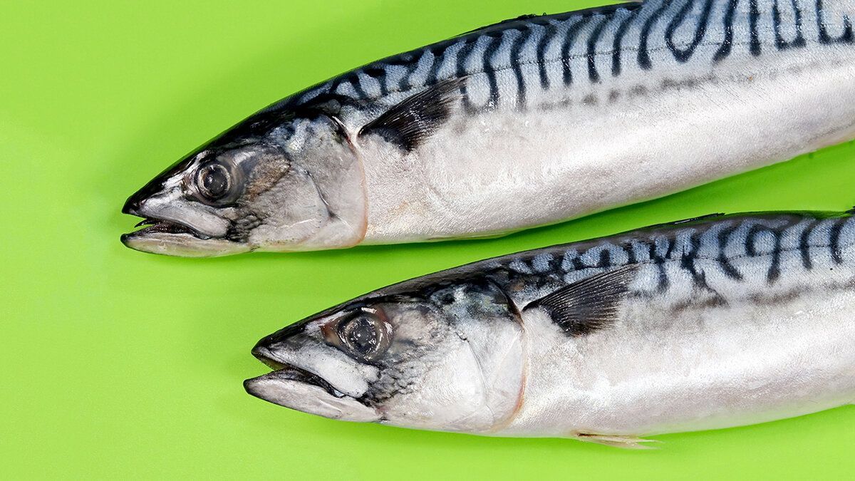 ��� ������� ������: ���� �������� ����������� ��������