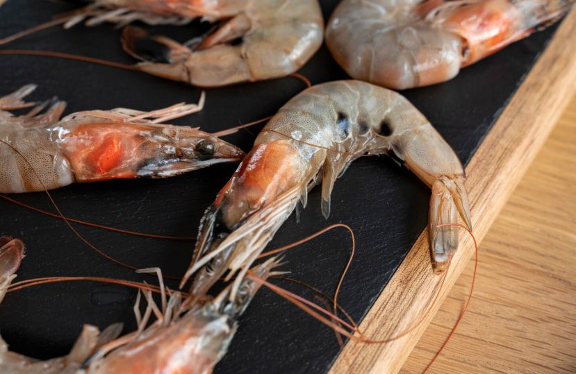 ���������������: ������ �� ������ � ������� ����������� ������������� ��������� ��� ��������