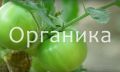 Как мифы о натуральности продуктов влияют на наше здоровье