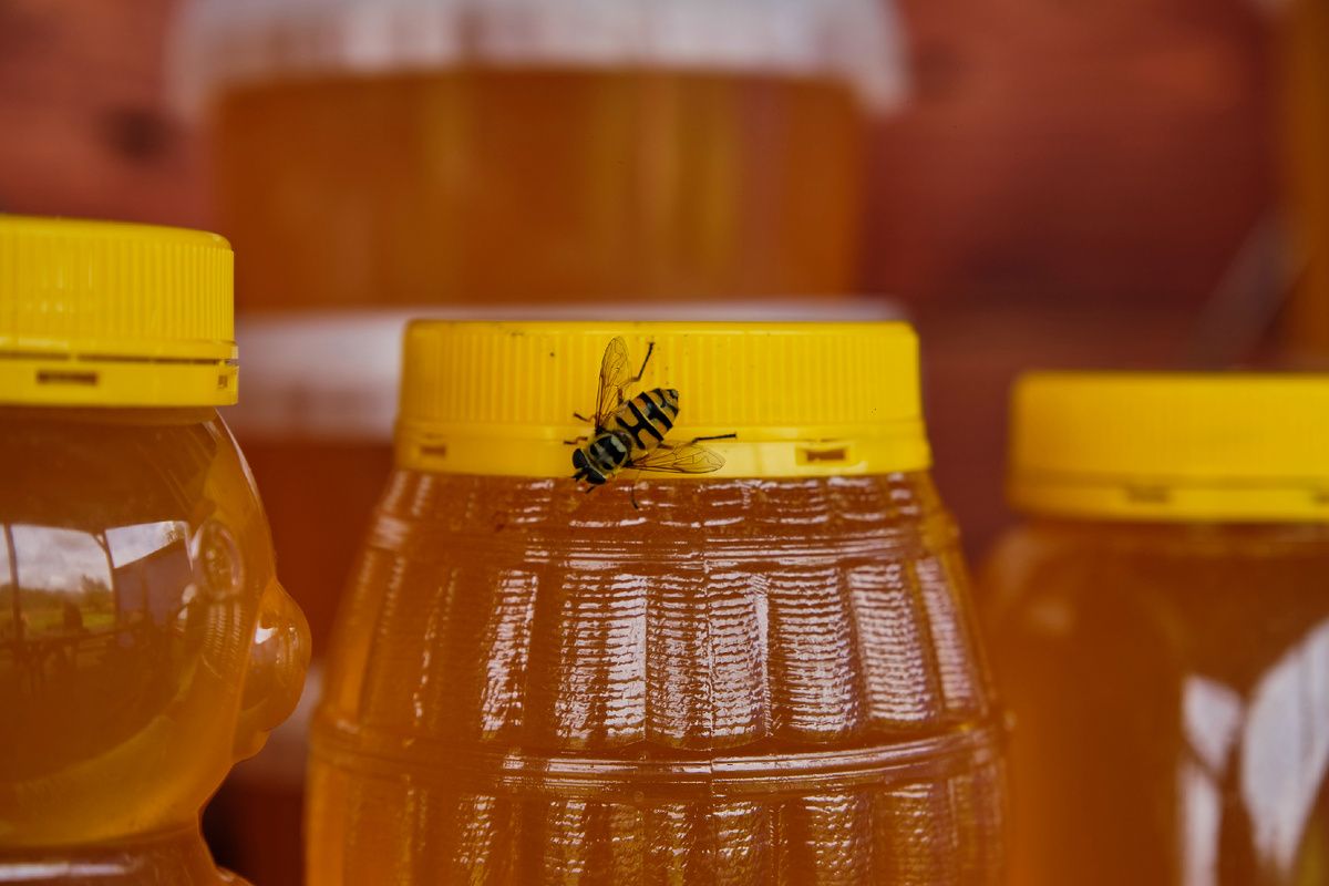 ��������� ������� ����: �������, �������� � ������������