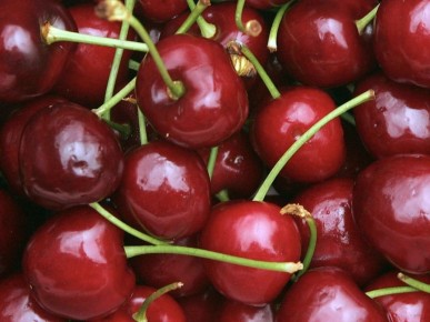 Вишня: враг или друг? Узнайте о её пользе и возможном вреде