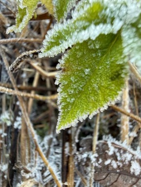 Ароматные напитки для зимних вечеров