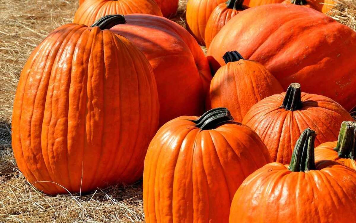 ��� �������� �����, �������, ������ � ���������