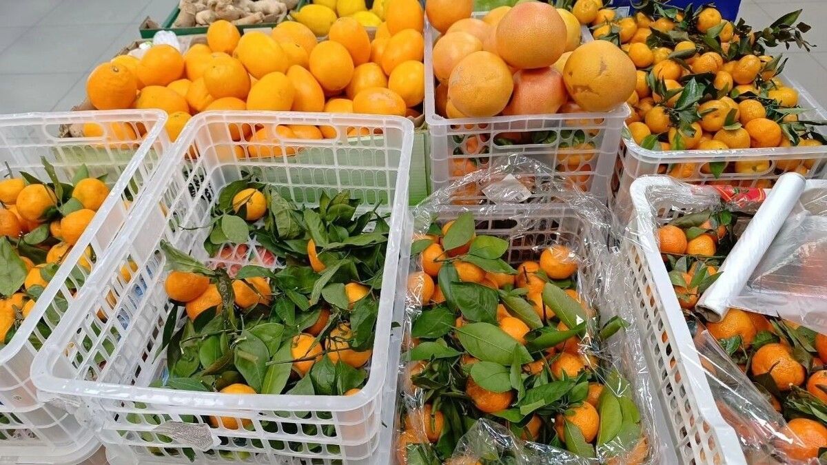 ��� ������� ��������� ���������: ������ ���������