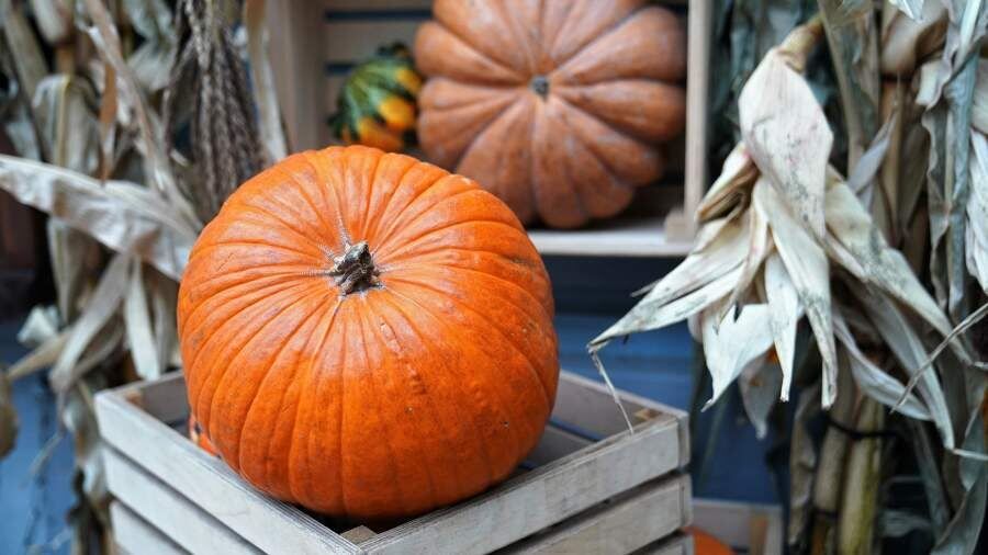 ��������� ����: ������ �������� ����� � ������� ������������