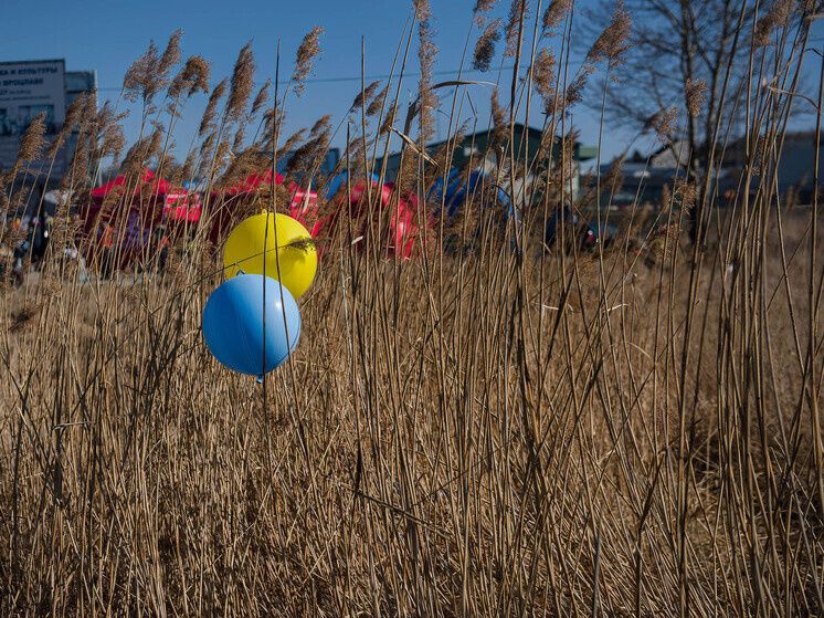 �������� ��������� ��� �������: ������ ����� ����� ��������� � ��������� ������