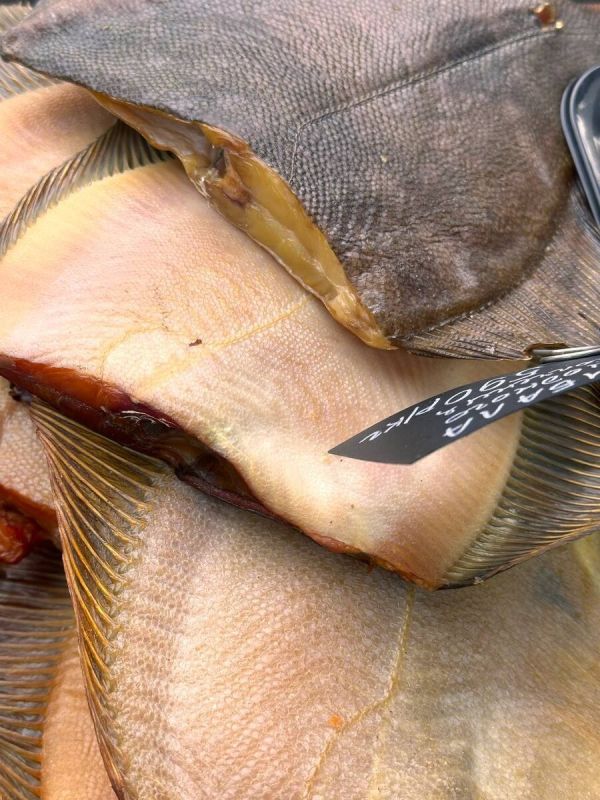 ������� ��������� ��������: ��������� �� ��������� ����