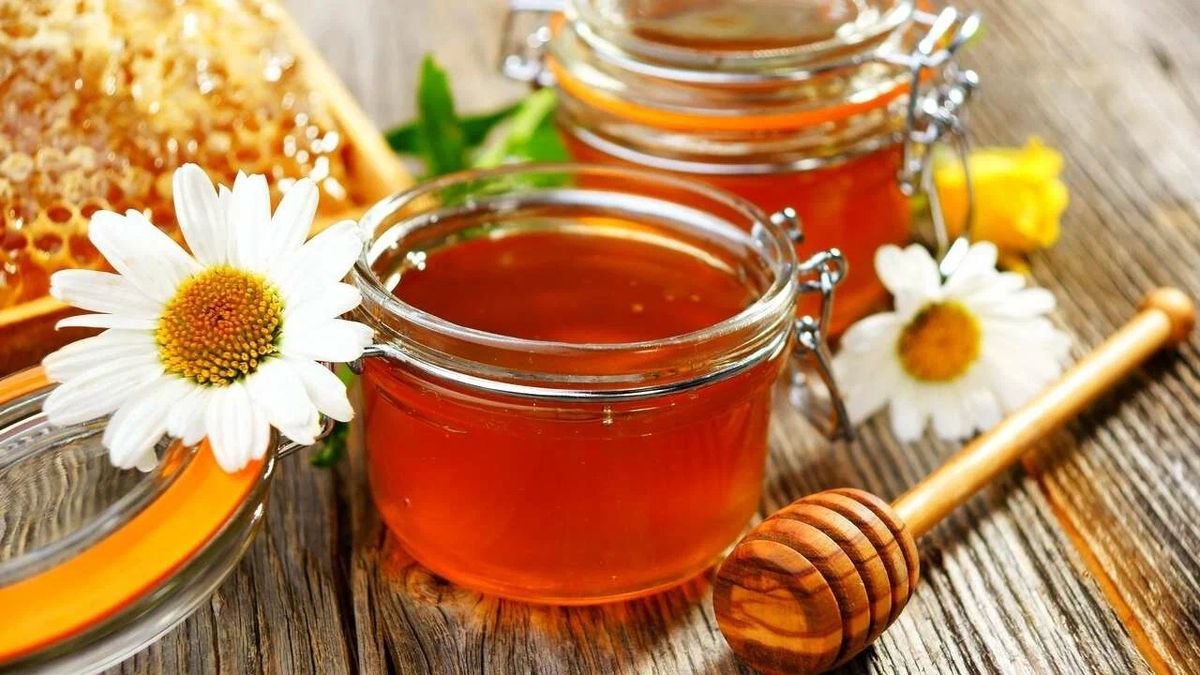 ̸�: ������������ ������� � ���������� �������� ����� ���������� ��������