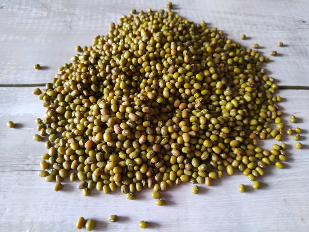 ������ ���: ���������� ���� � �������� ��������