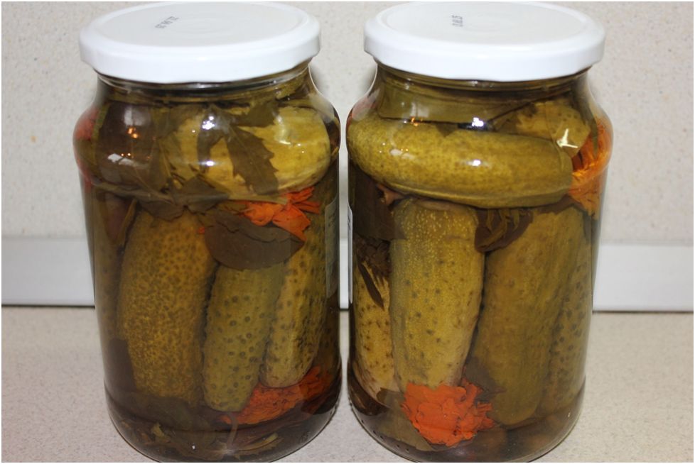 ��� ����������� ������������ ������ � ���������� �� ����