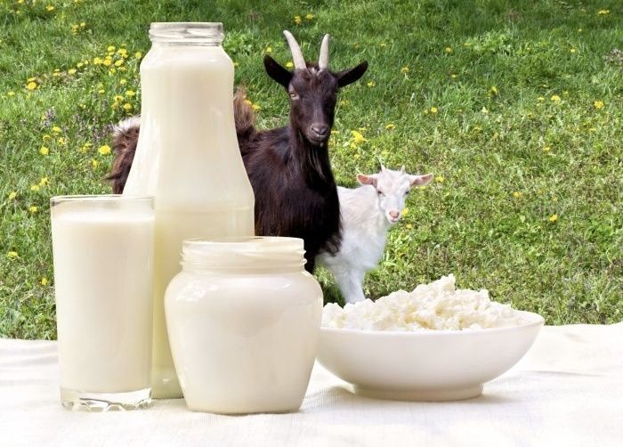 ����� ������: ������������� �������� ������� ��� ��������?