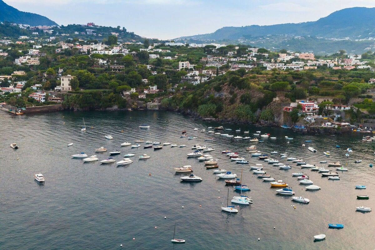 ������� ����������� ����� �� ������ ������������: ������� � ���������������� ��������� ����������