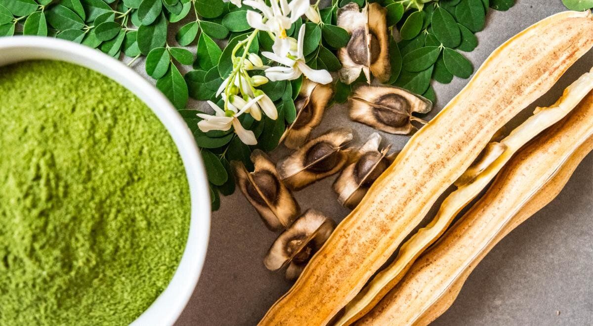 ����� ������ �� ���������: ��� ����� �����������