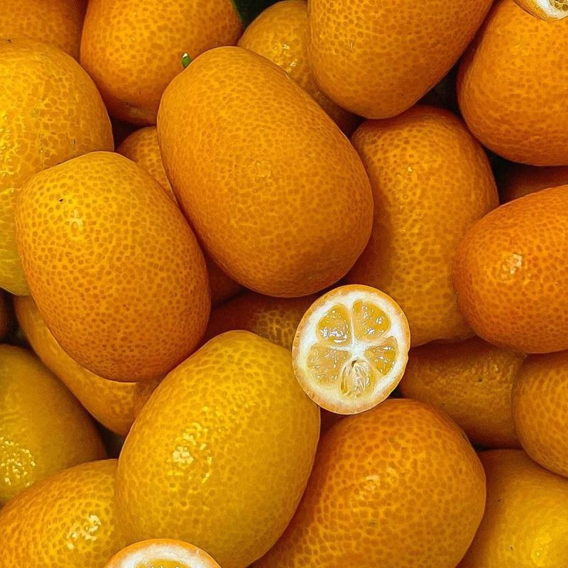 ���������, �� ������: ������������ ����� � ��������