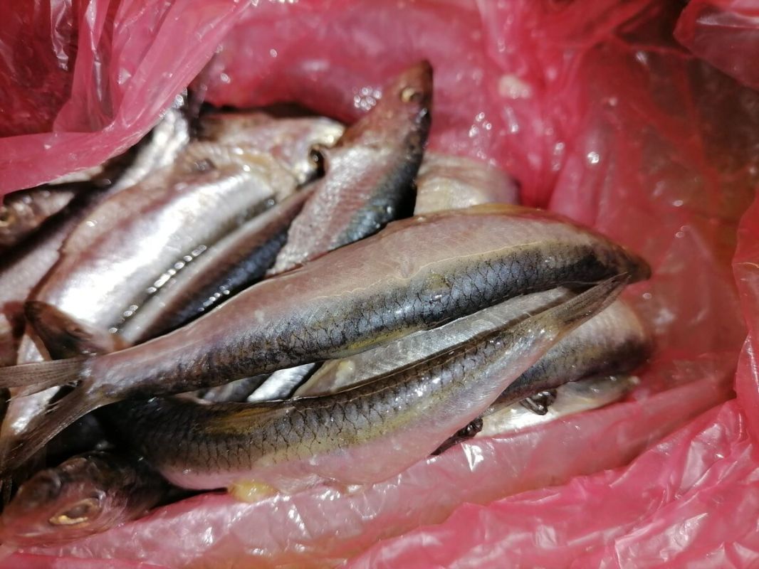 ������, ������� ������ �����: ������� � ��������� ������