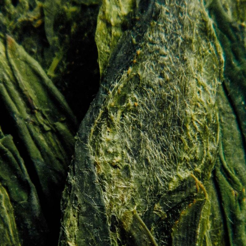 ������ ���: ������� ������ � ����������