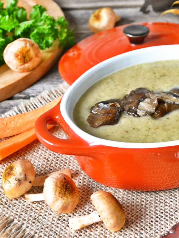 ����� ���� �������� �������