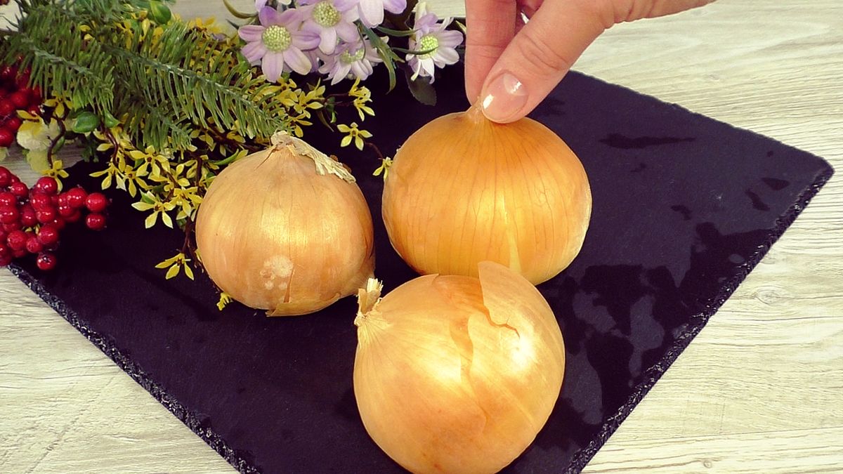 ��������� ����� � ����� ��� ���������: ������ � ������� ������