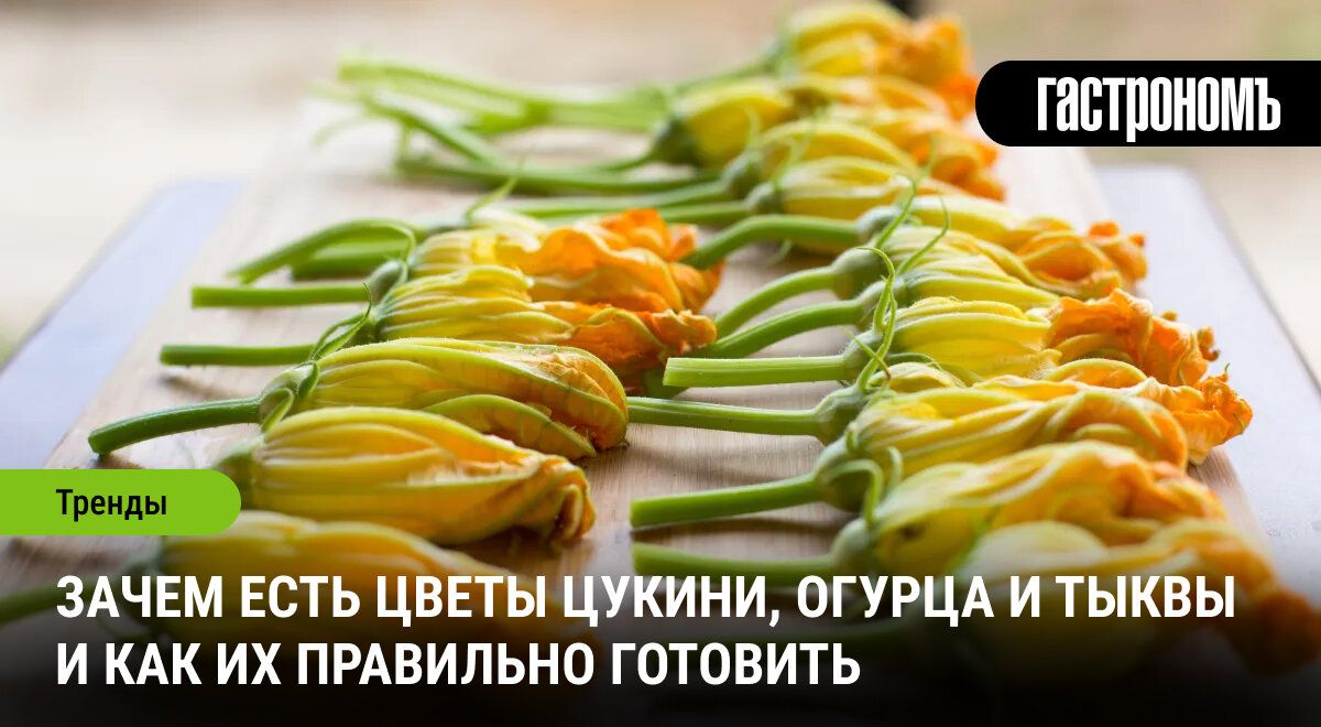 ����� ��������, ����� � �������: ����� ���������� ���������