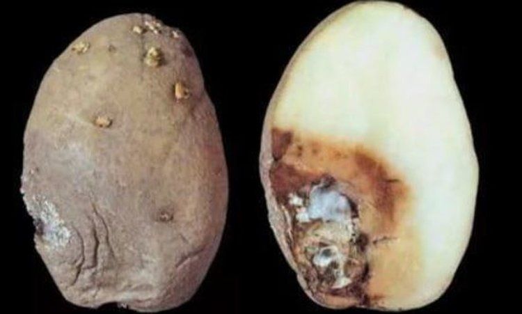 ��� ���������� ����� ����� ��������� � �������� ��������