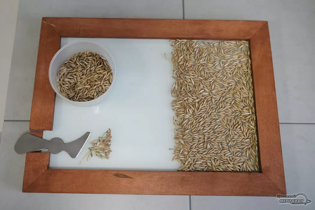 На Среднем Урале появился белорусский ячменный солод