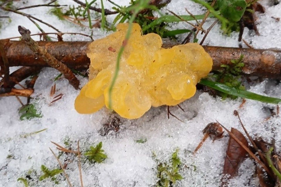 ��������� ����� ���������� ���� ������� � ������ ����