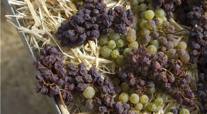 ��� ��������� ������ ��������: ������ � ���������