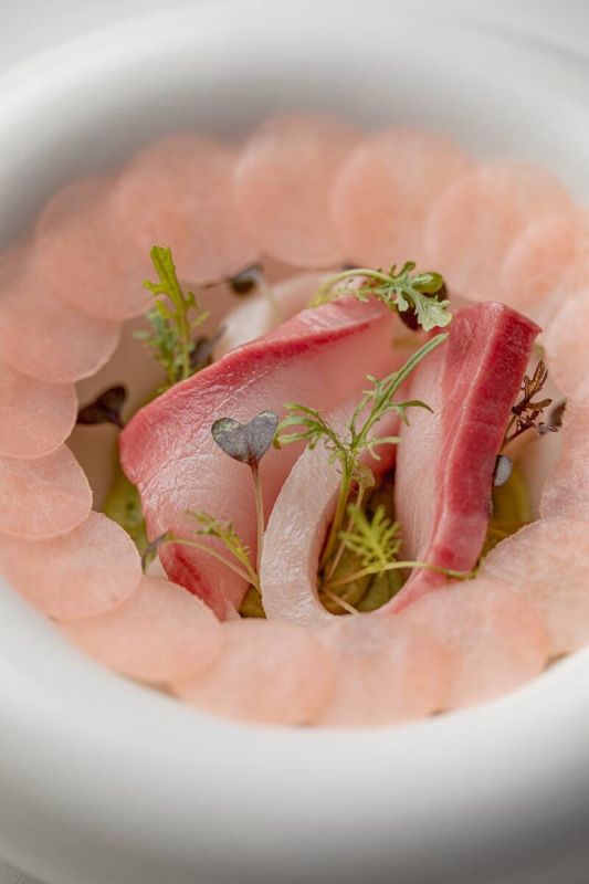 ����������: �� �������� ���� �� ����������� ���������������� ��������