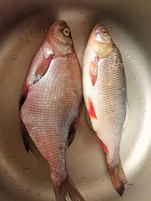 ��� ������ ����������� ����: �������� ��� ������� ���������