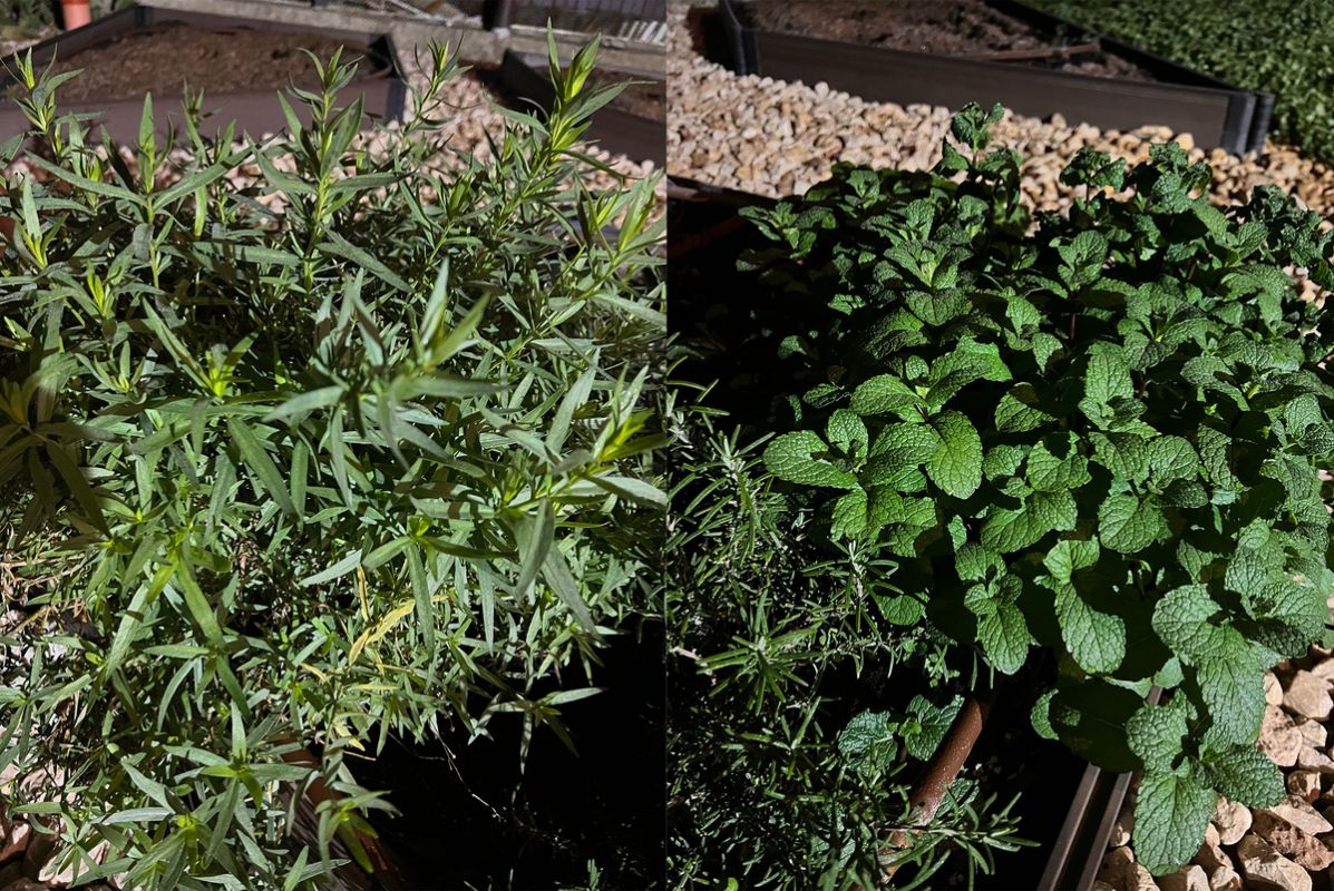 ������� ��������� ��������: ��� ������������ ������� ������ � ������ � ����