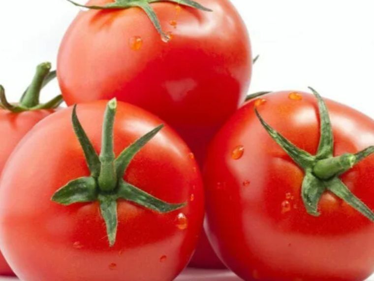 ������� �������� � ��������� ��������: ������ ������ ����������� �����